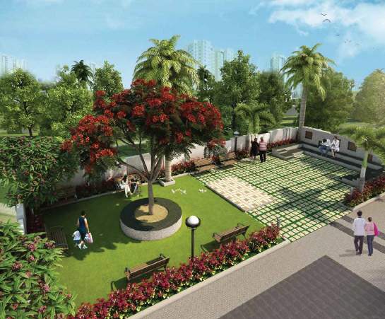  dreams phase ii Elevation