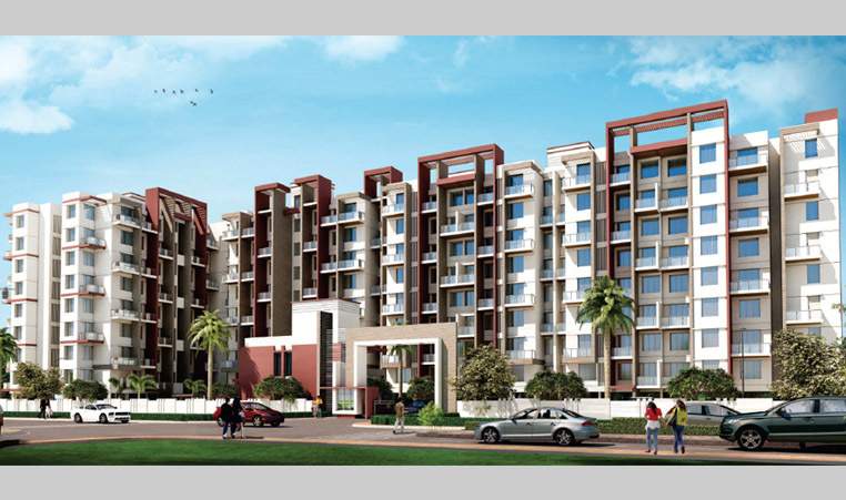  dreams phase ii Elevation