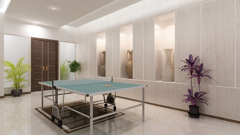  33 keshav kunj d wing Indoor Games