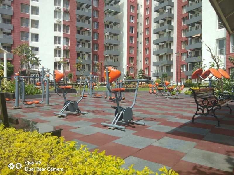  nulife phase 2 Gymnasium