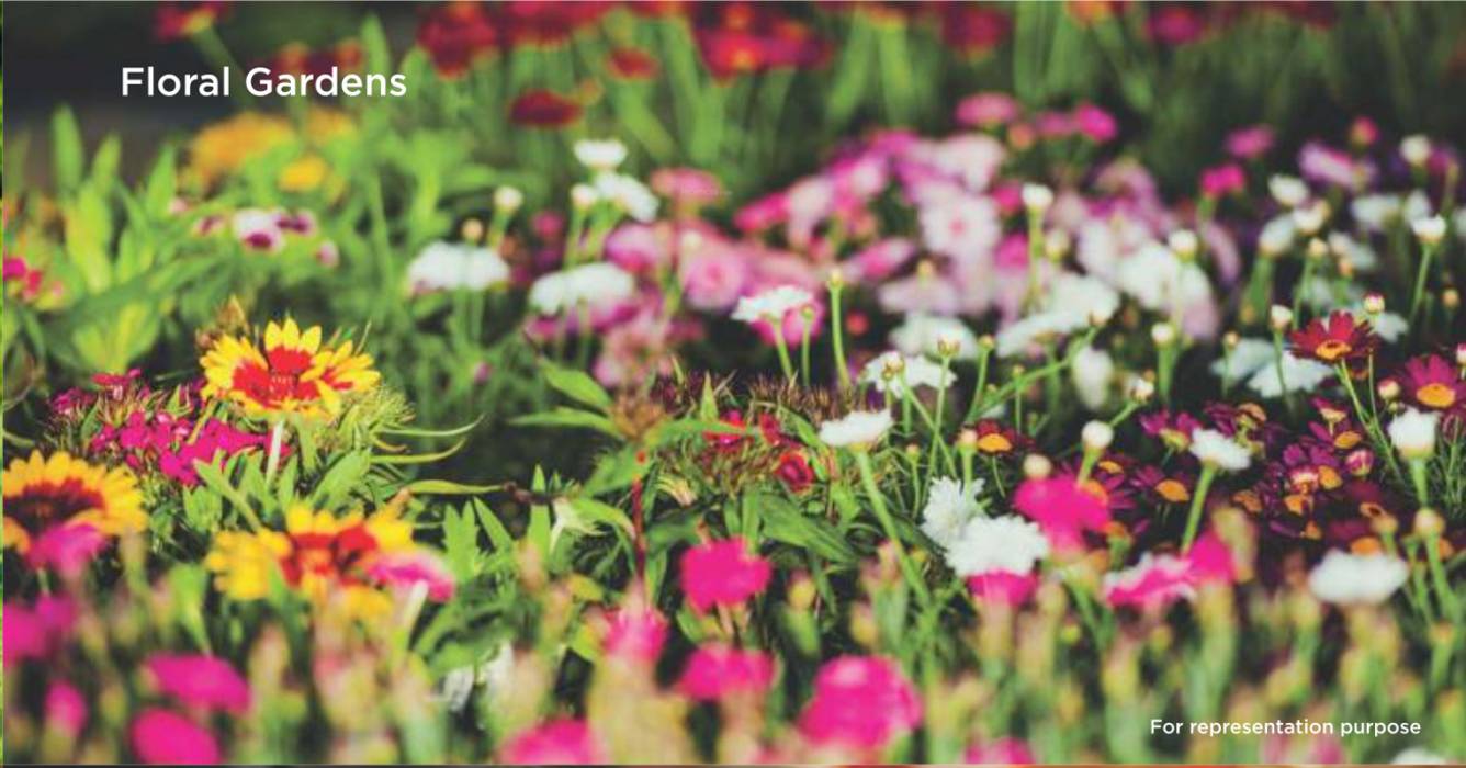 Images for Amenities of Mantra 29 Gold Coast Phase 1