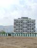 KalpaVruksha B