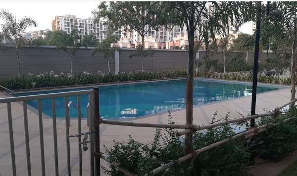  tiara-building-a Swimming Pool