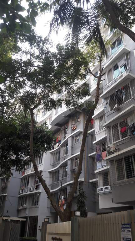  new tashkent terrace chsl Images for Project