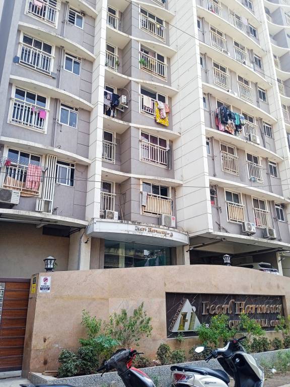  pearl harmony Elevation