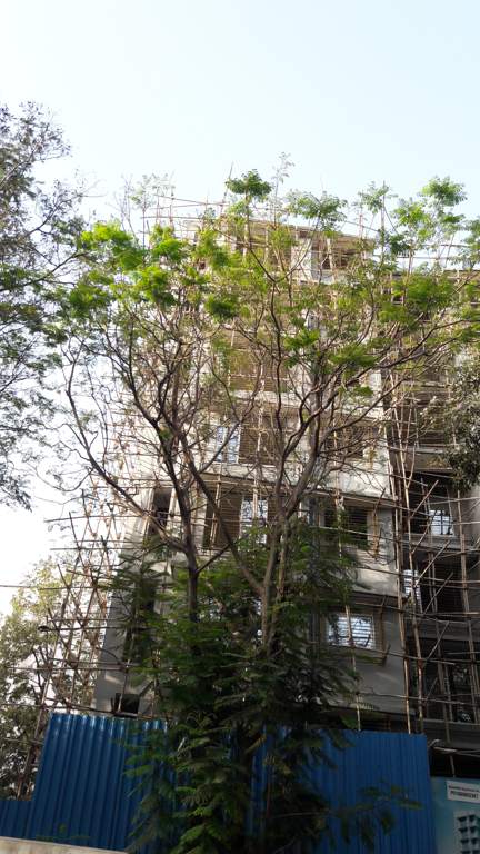Images for Construction Status of S S Developers REDEVELOPMENT OF SITA SADAN RISHAB VILLA