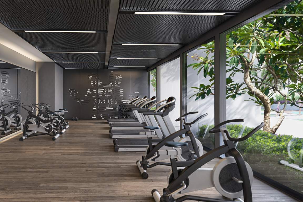  34 park estate Gymnasium