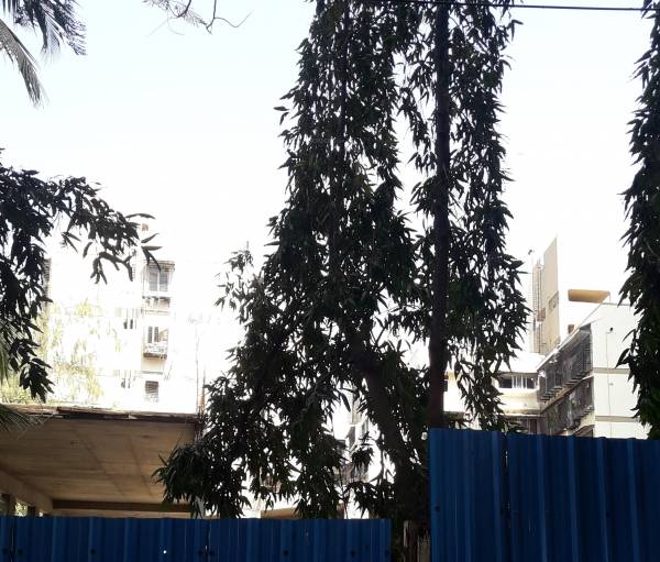 Images for Construction Status of Japji Sneh CHS