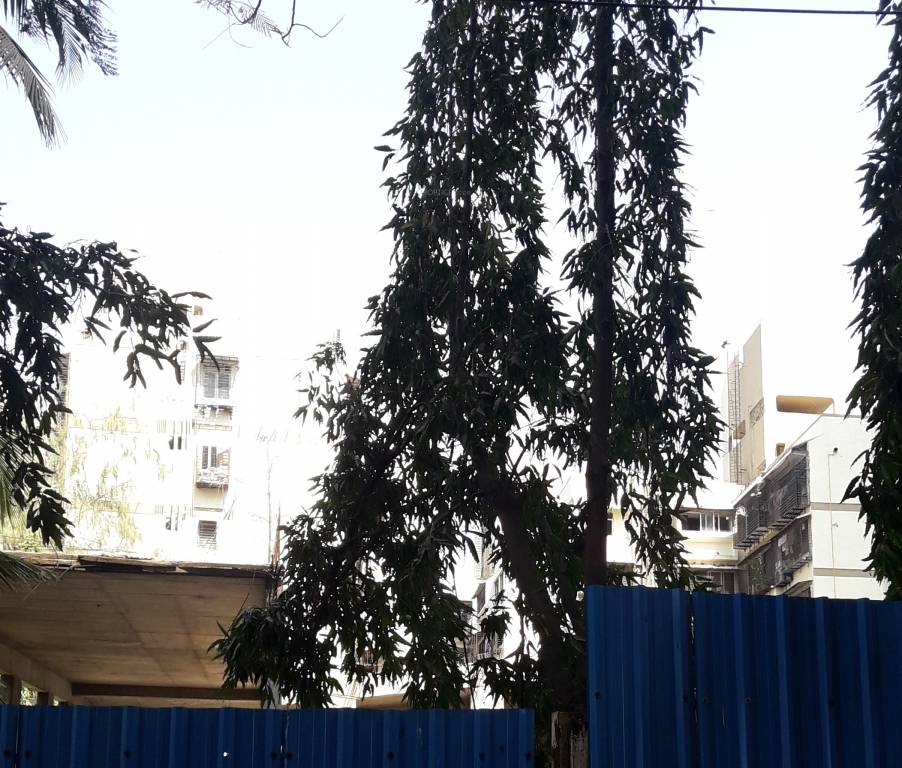 Images for Construction Status of Japji Sneh CHS