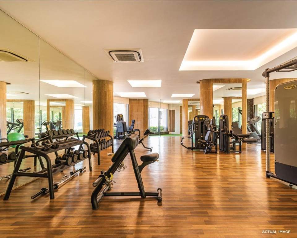  signia pearl phase 2 Gymnasium