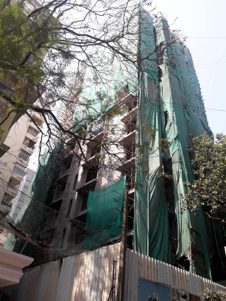  park-solitaire Construction Status Feb-19