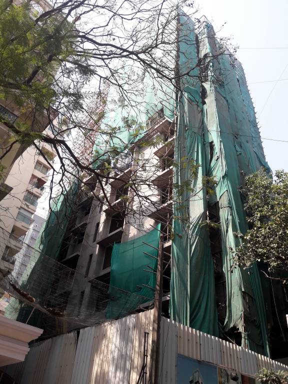  park solitaire Construction Status Feb 19