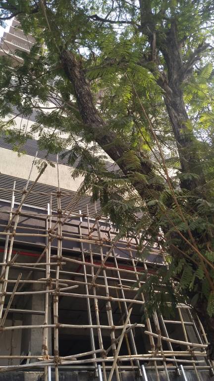 Images for constructionStatus