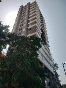  71-raintree Images for Project