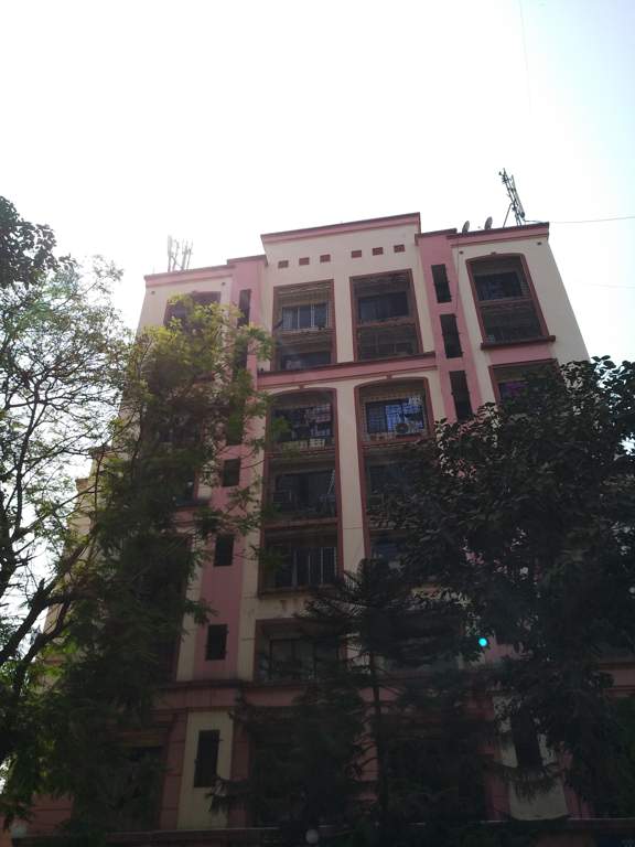  hollyhock Images for Project