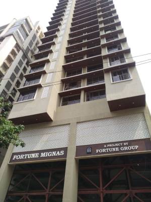 Images for Project Images for Project