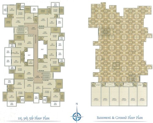 Images for Cluster Plan of Basil Crystal Green