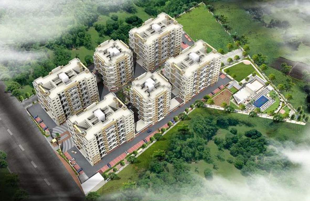  palladium grand phase ii k Images for Project