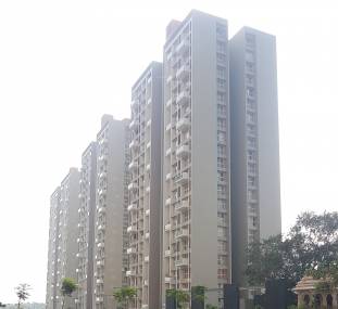 Elevation belmondo-ashbridge-d-e Elevation