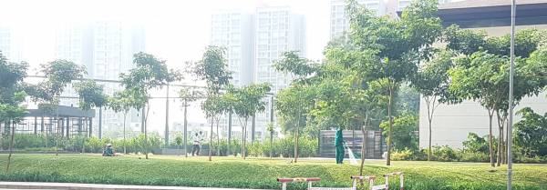  belmondo-ashbridge-d-e Images for amenities