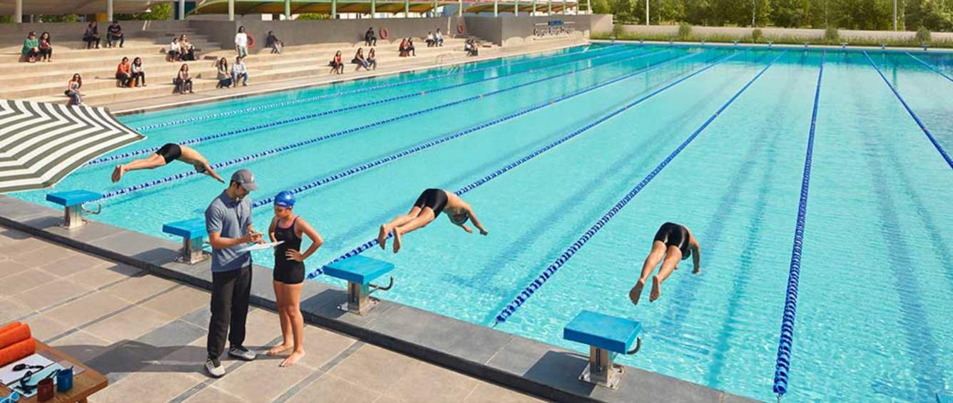  palava estela h i j Others