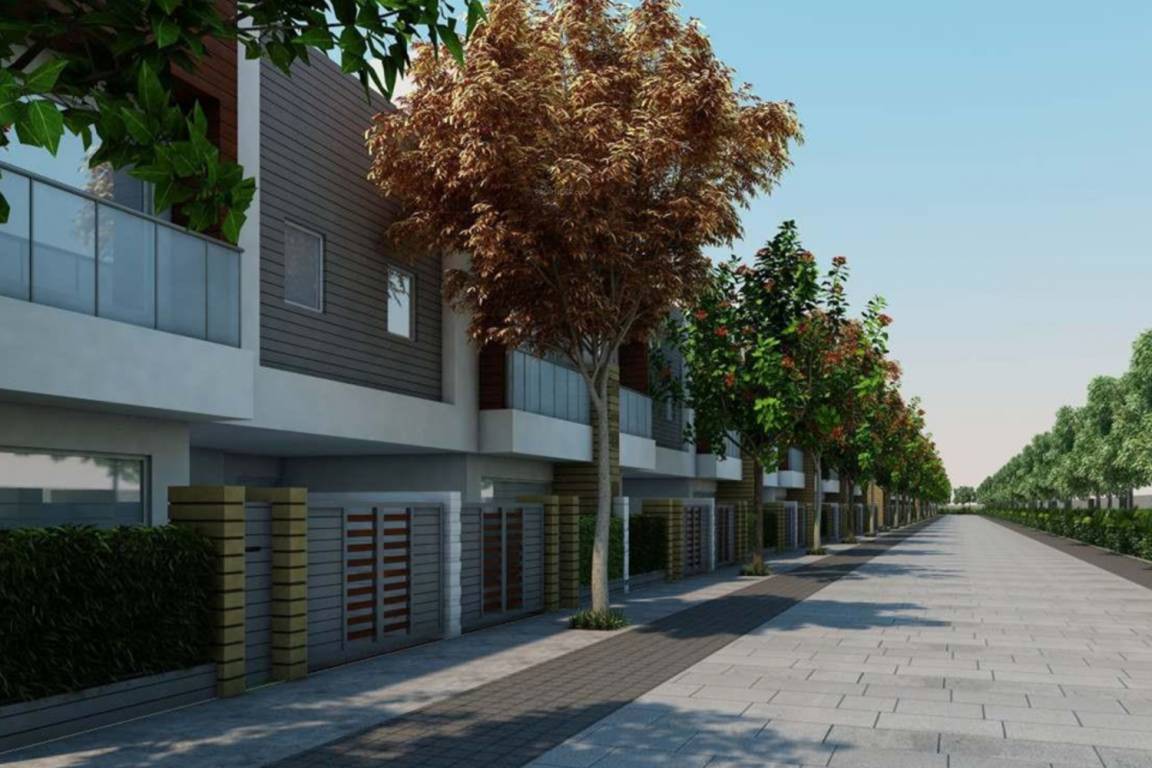 Images for Elevation of Intellicity Phase I