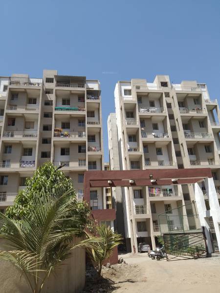  alcon-stylus Images for Project