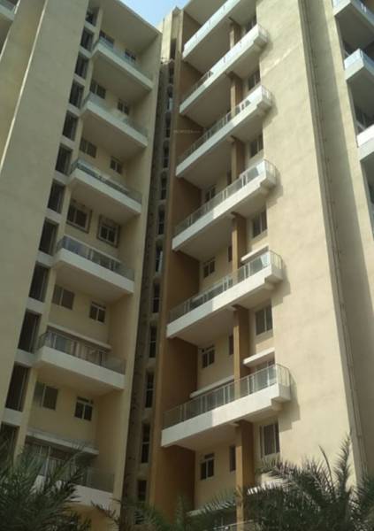 Images for Project Images for Project