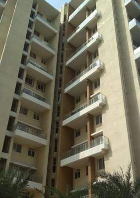 Images for Project Images for Project