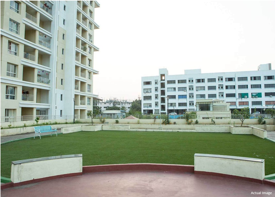  green olive c and d Elevation