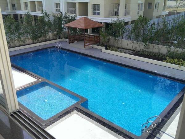 Swimming Pool amenities of Kolte Patil Green Olive C And D