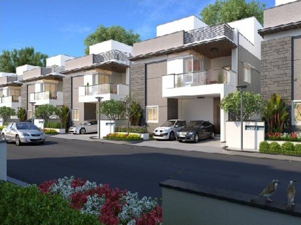 Images for Elevation of Magna Majestic Meadows