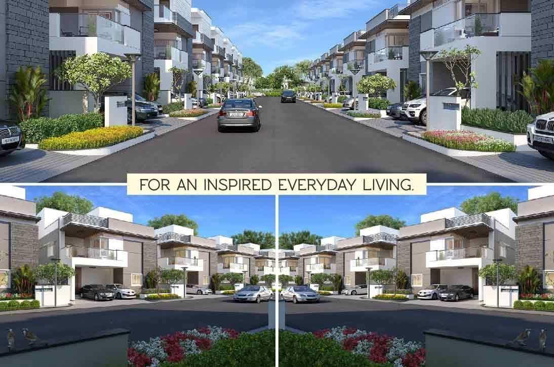 Images for Amenities of Magna Majestic Meadows