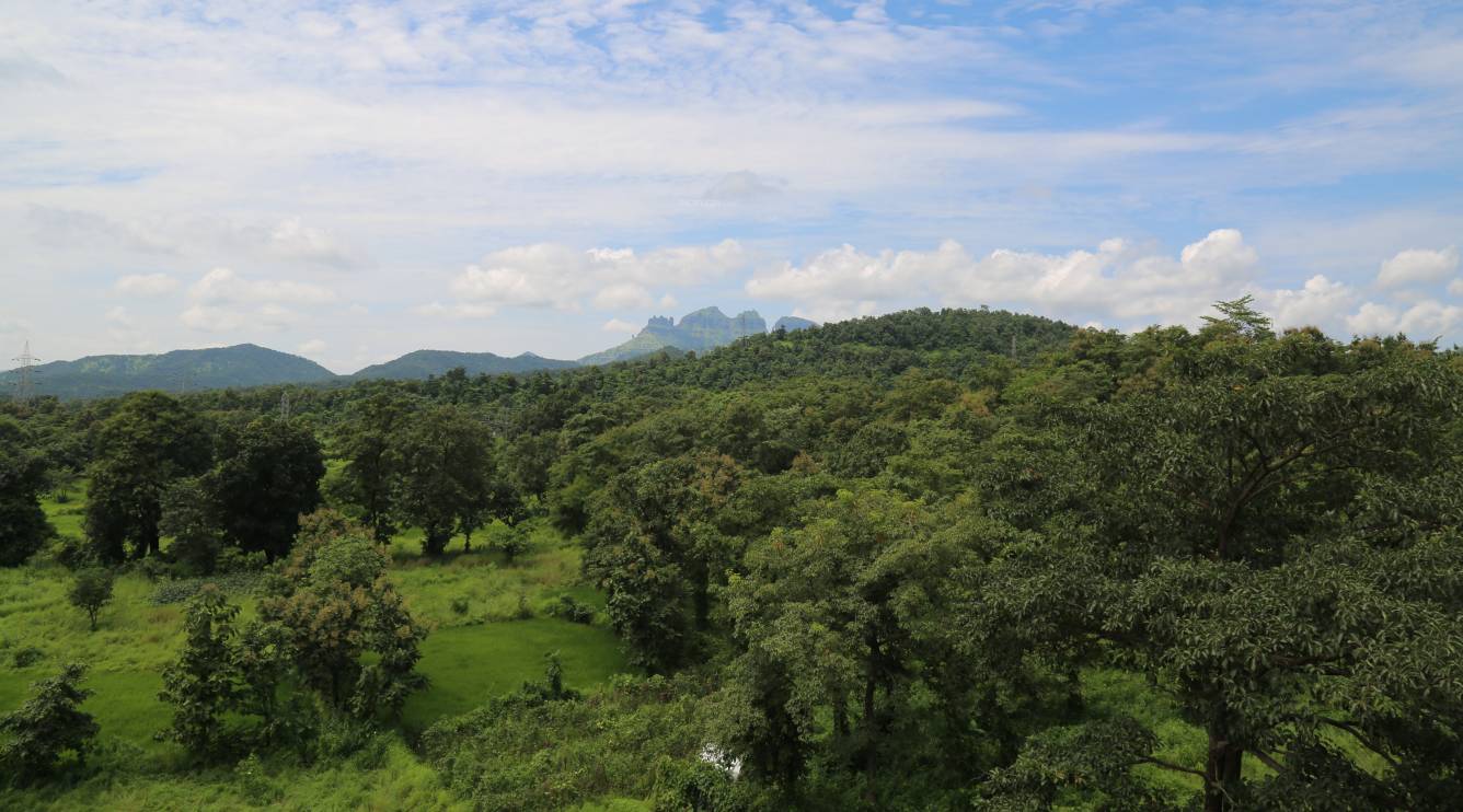 Images for Amenities of Mayfair Aasaan