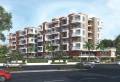 Growmore Paraiso 1
