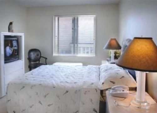  shyam-residency Images for Main Other of Viswakarma Shyam Residency