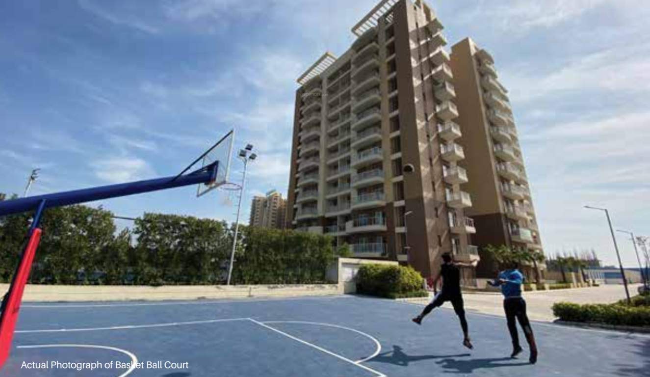 acclaim Basketball Court