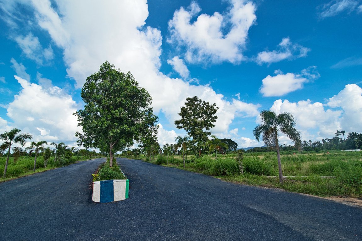  luckie township Plot