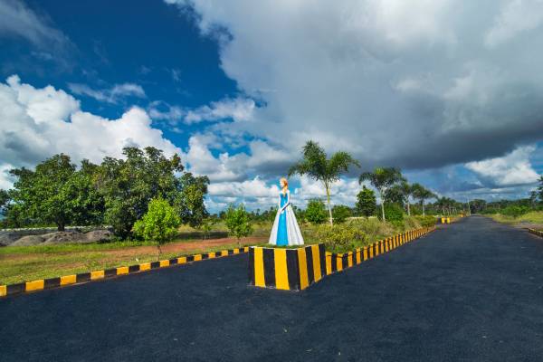 Plot luckie-township Plot