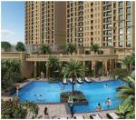  flamingo Swimming Pool