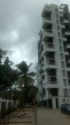  pearl Images for Project