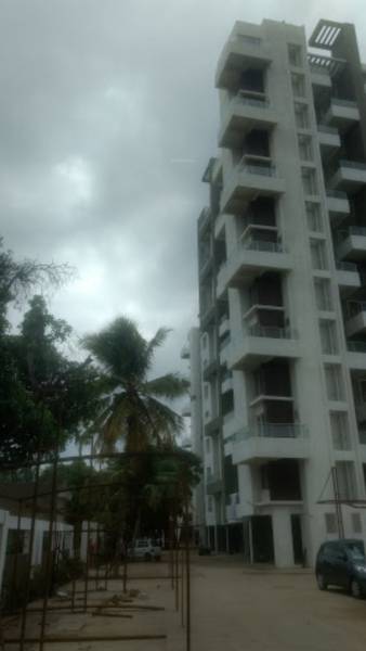  pearl Images for Project