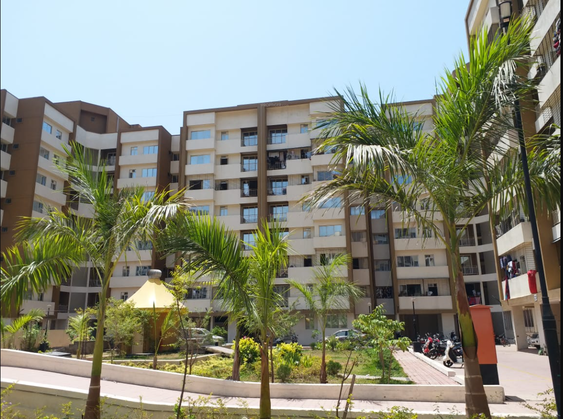  avenue d phase iii Elevation