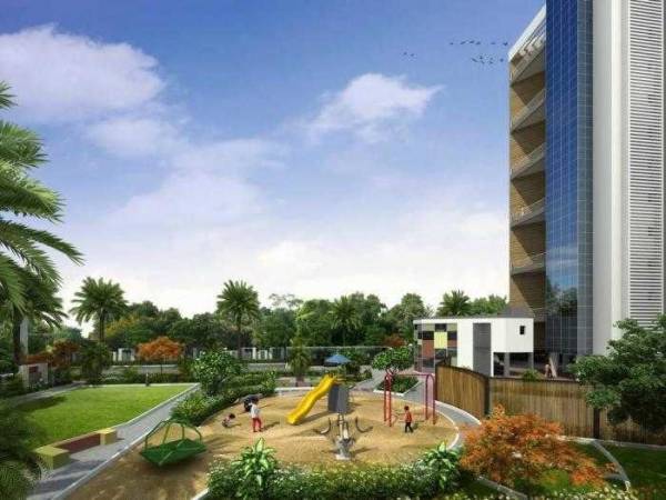  olympia-phase-1 Others