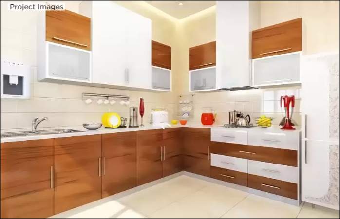  alcinia phase i Others