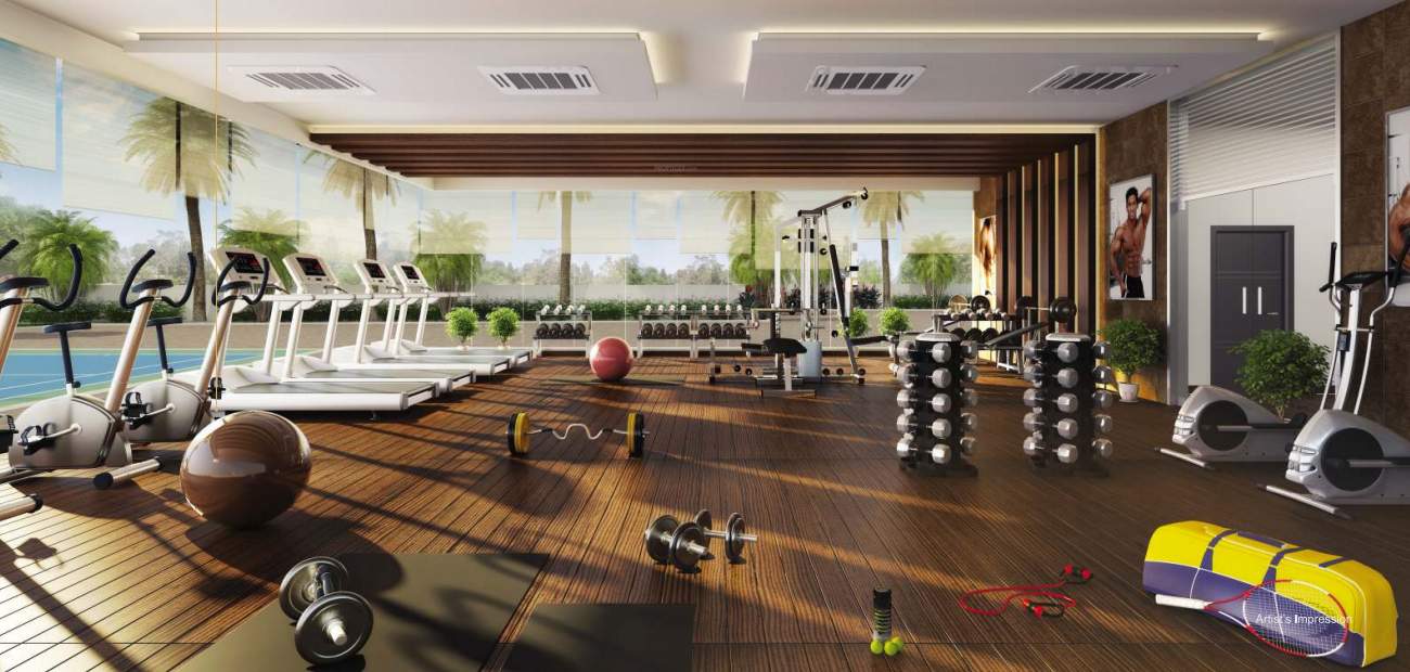  legend wing a Gymnasium