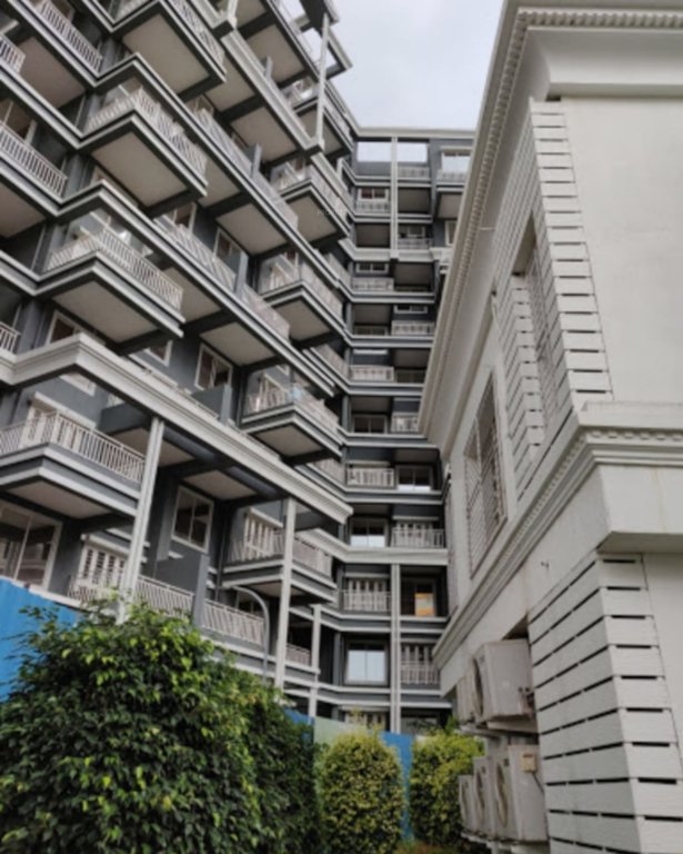  orabelle phase i Images for Project