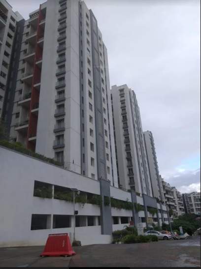  a3 song of joy geras greensville 2 Elevation