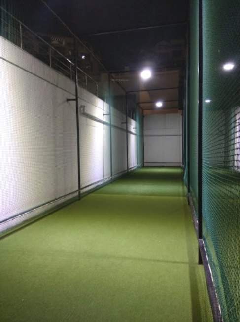  b1 song of joy geras greenville 2 Cricket Pitch