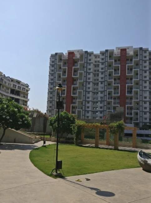  b1 song of joy geras greenville 2 Others